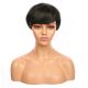 DM1707327-v4 - Short Highlighted Black Synthetic Hair Wig With Bangs [FINAL SALE]