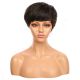 DM1707348-v4 - Short Dark Brown Synthetic Hair Wig With Bangs [FINAL SALE]